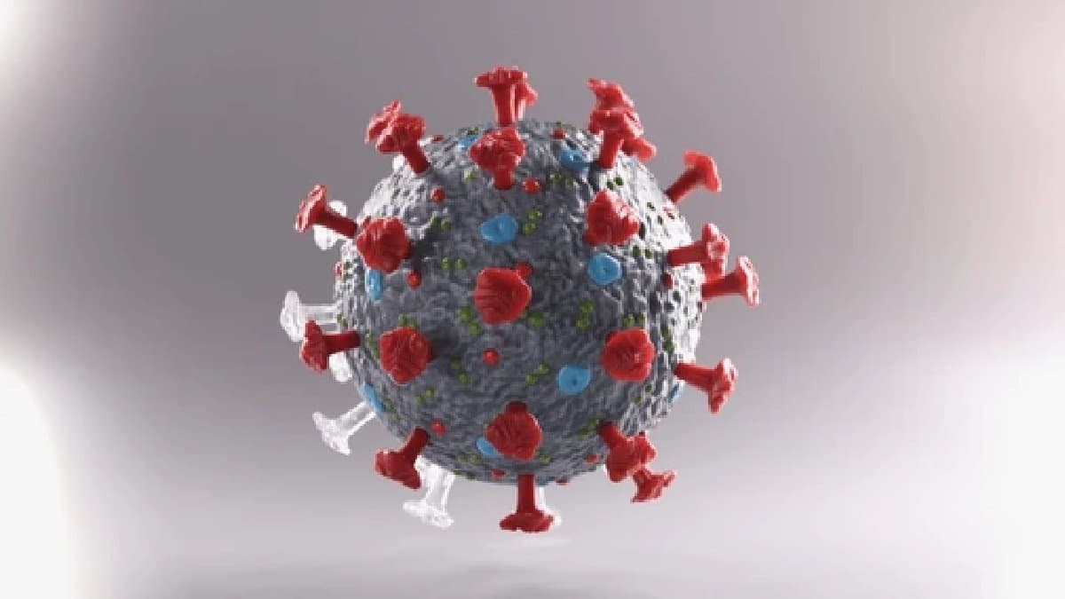 Five Years After Covid China Faces Deadly Virus Surge  overwhelming hospitals and crematoriums gnr 