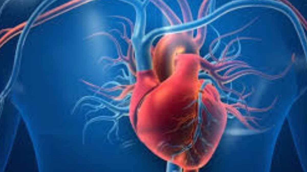 Health Tips benefits of eating beetroot