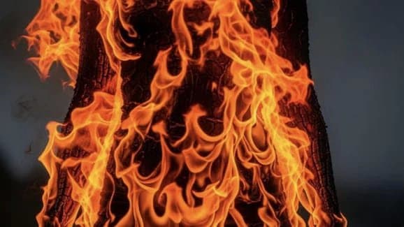 Tamil Nadu Woman Sets Self On Fire Over Harassment By Father In Law