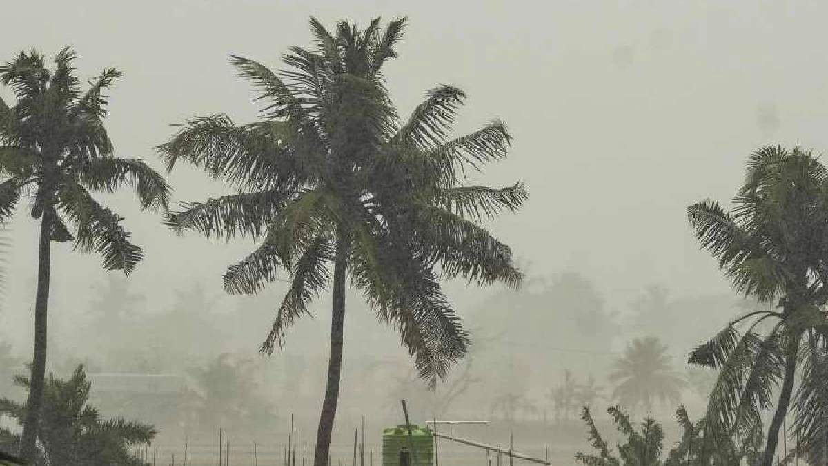 IMD weather update: Rain alert in north and south bengal this week 