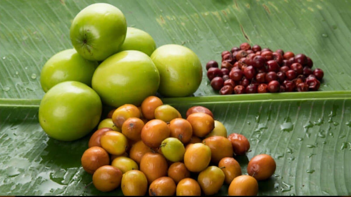 basant panchami 2025 why people avoid eating jujube fruit or kul before saraswati puja lif