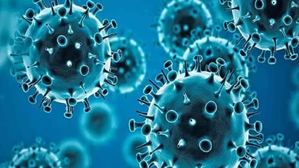 HMPV Updates Maharashtra And Delhi Government Has Now Issued Health Advisory gnr