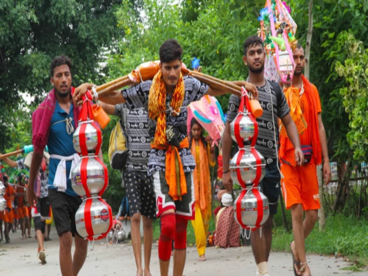 up 17600 trees axed to pave way for proposed kanwar yatra route panel gnr