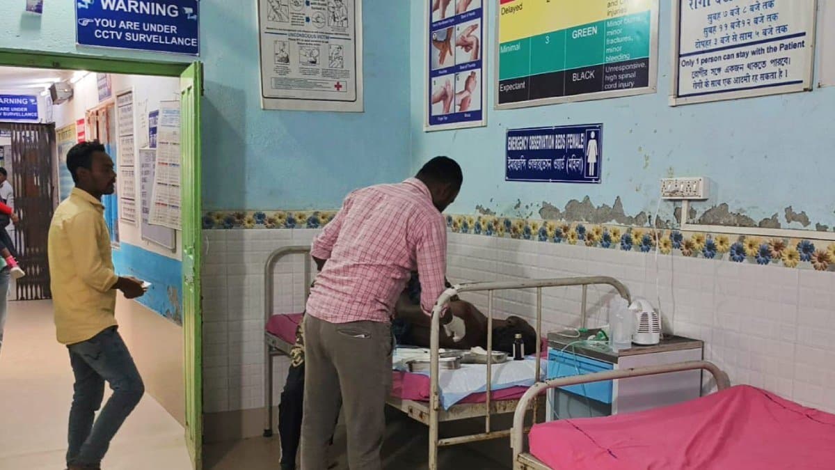 leopard attacks a person taking advantage of his absent mindedness gnr