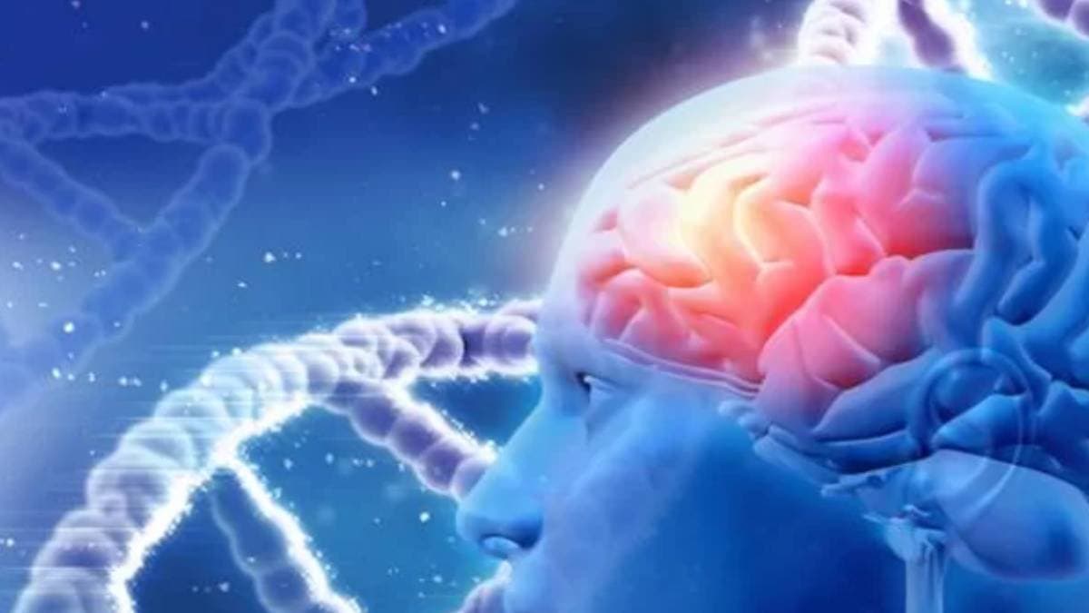 Sitting for long hours at the office can also bring danger to the brain