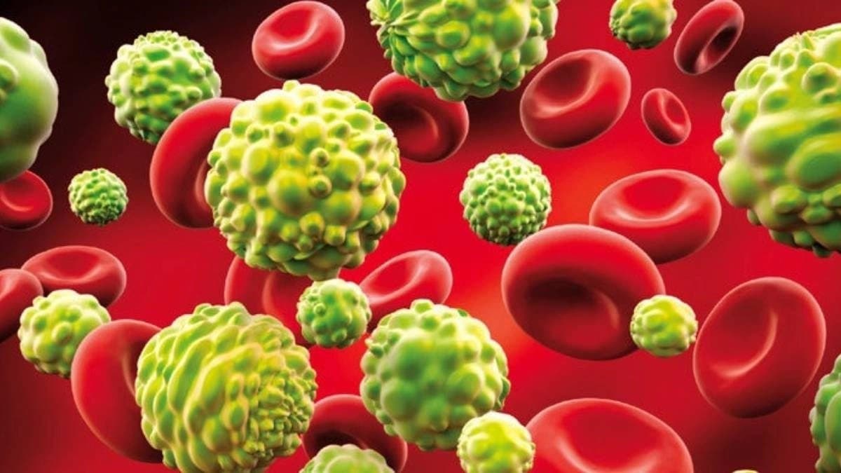 Health Tips: By consuming these foods you can prevent cancer 