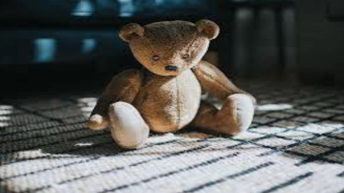 A stir around the teddy bear made of human skin youth arrested on prank charges