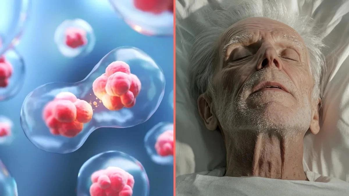 মৃত্যু মানেই শেষ নয়? জীবন-মরণের মাঝে অস্তিত্ব আছে তৃতীয় এক জগতের, বিস্ফোরক দাবি বিজ্ঞানীদের!