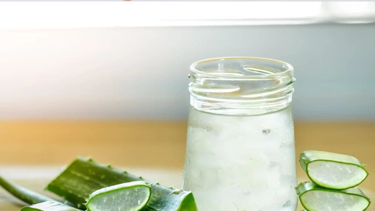 Benefits of aloe vera juice know the details