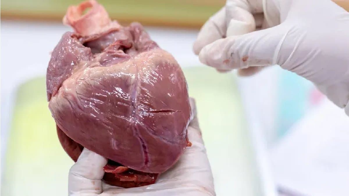 Oats and seeds among top foods for Cholesterol and heart attack prevention