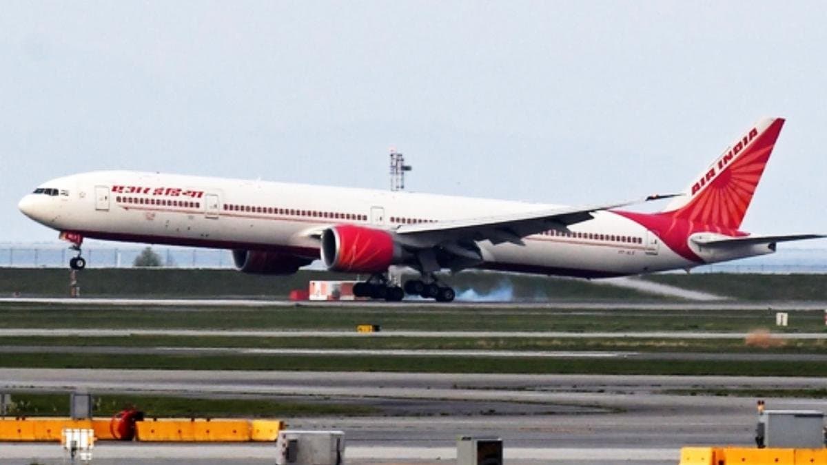 Hay stuck in wings  Air India flight delayed by over five hours 