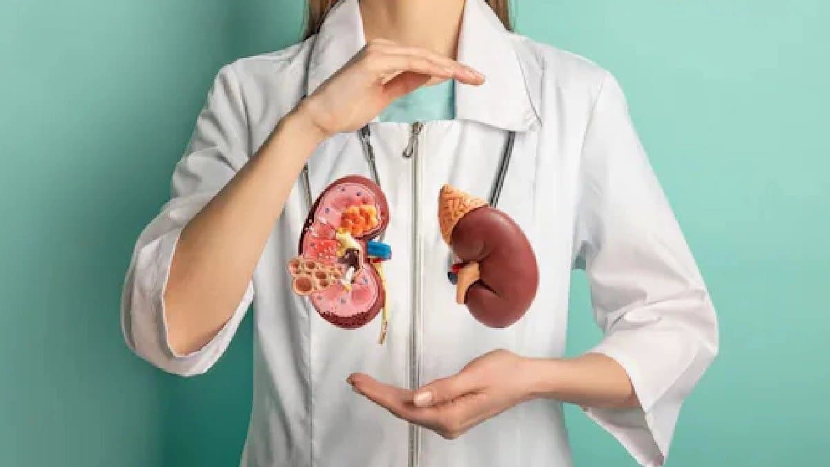 How to detect kidney function know the signs in body