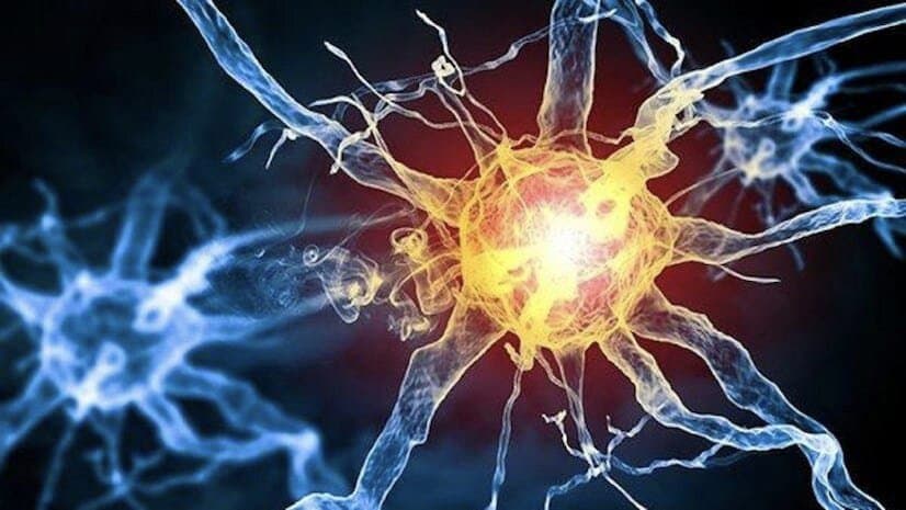  167 Guillain Barre Syndrome Cases Detected In Maharashtra, 7 Deaths Reported gnr