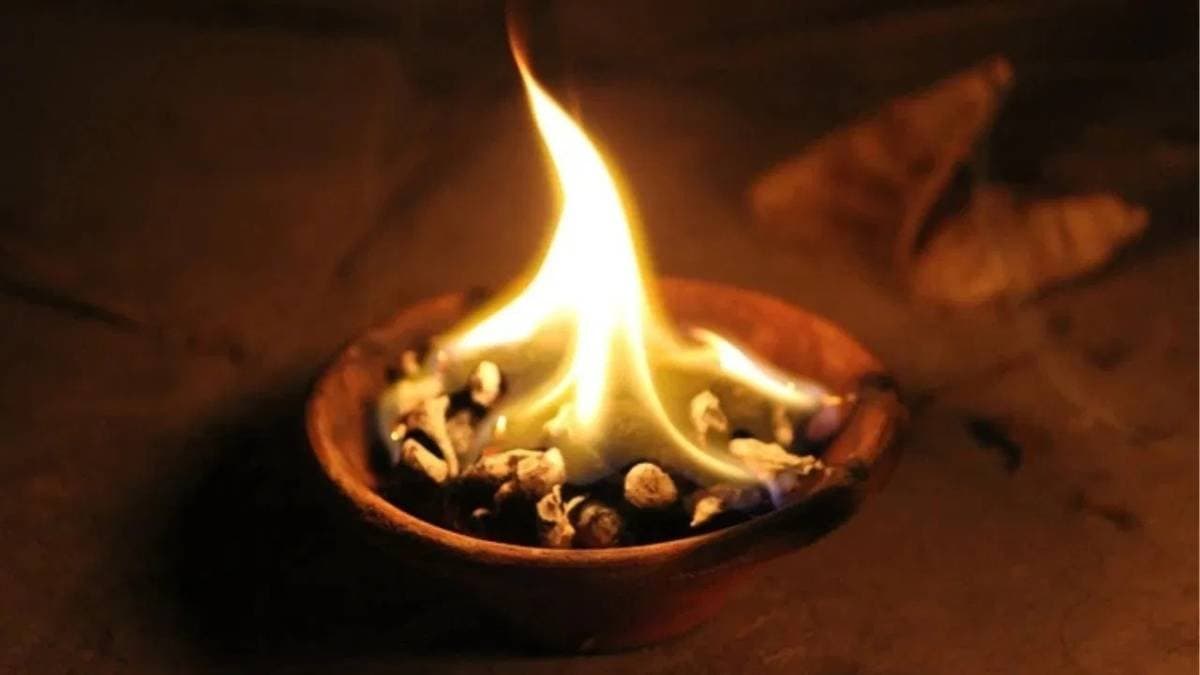 burning camphor rice cloves and cinnamon will bring money and remove negative energy from house lif