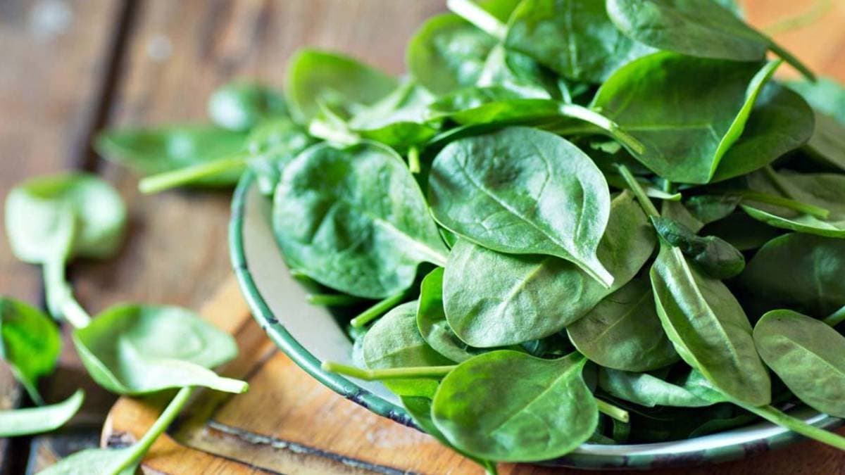 Winter season vegetable spinach is rich in protein vitamins and has many health benefits here are all details lif
