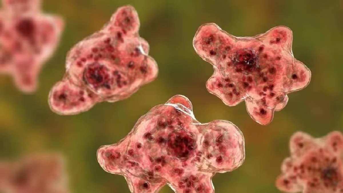 Brain-Eating Amoeba Kills 19 In Kerala
