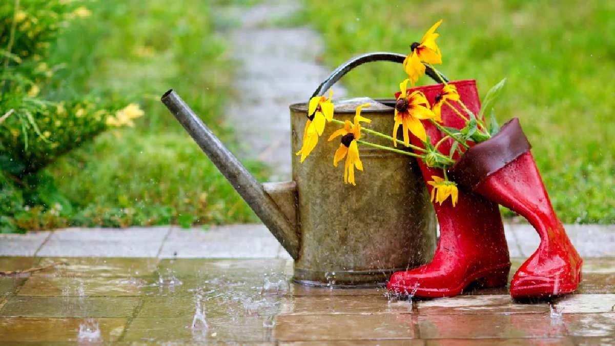 Five Gardening Tips to Prevent waterlogging in tubs during monsoon season