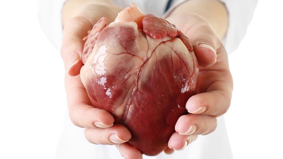 Daily 30 minutes of workout can reduce Heart Attack Risk By 61 per cent