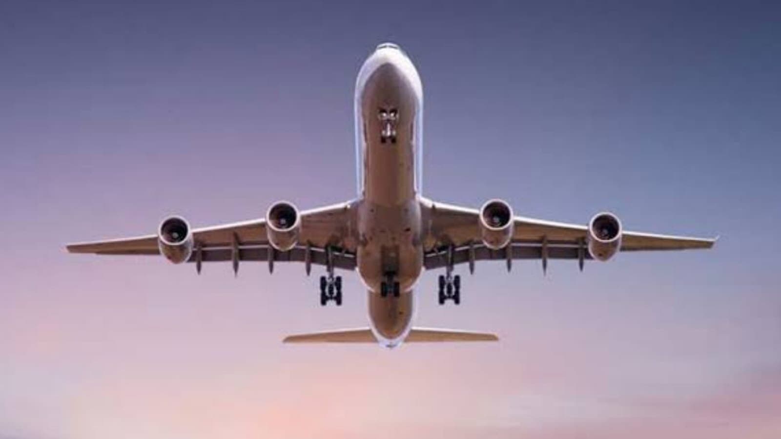  33 Flights Get Hoax Bomb Scare; Delhi Man Held For Emailing Threat_gnr