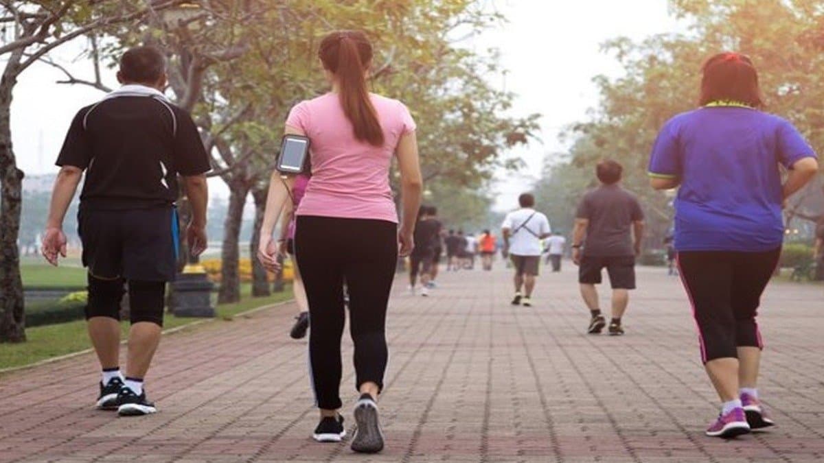 Running or walking which cardio is more effective to lose weight lif