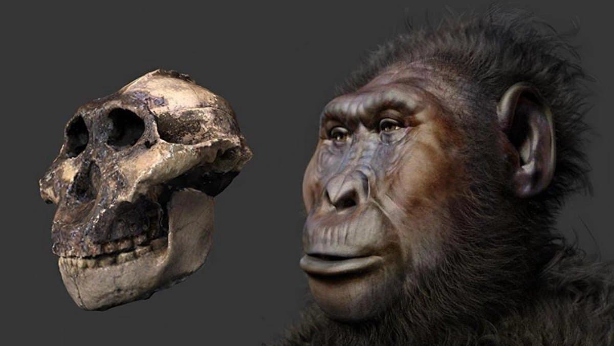  1.5 million years old fossil has left scientists baffled