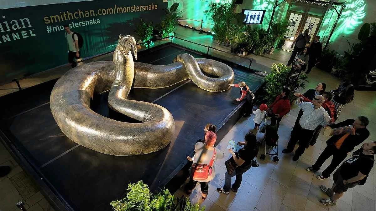 Titanoboa dominate the world after Dinosaurs vanished