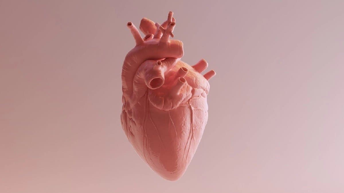 Two hours of extra sleep can reduce heart attack by 20 per cent