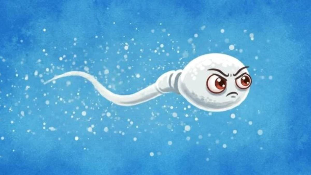 These foods may reduce fertility sperm count