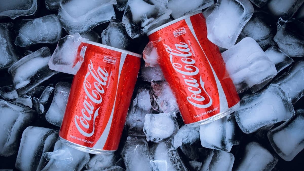 One Coca Cola bottle can destroy the Sentinelese in Andaman and Nicobar Island