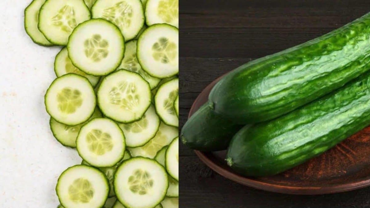  5 reasons to avoid pairing cucumber with these foods lif