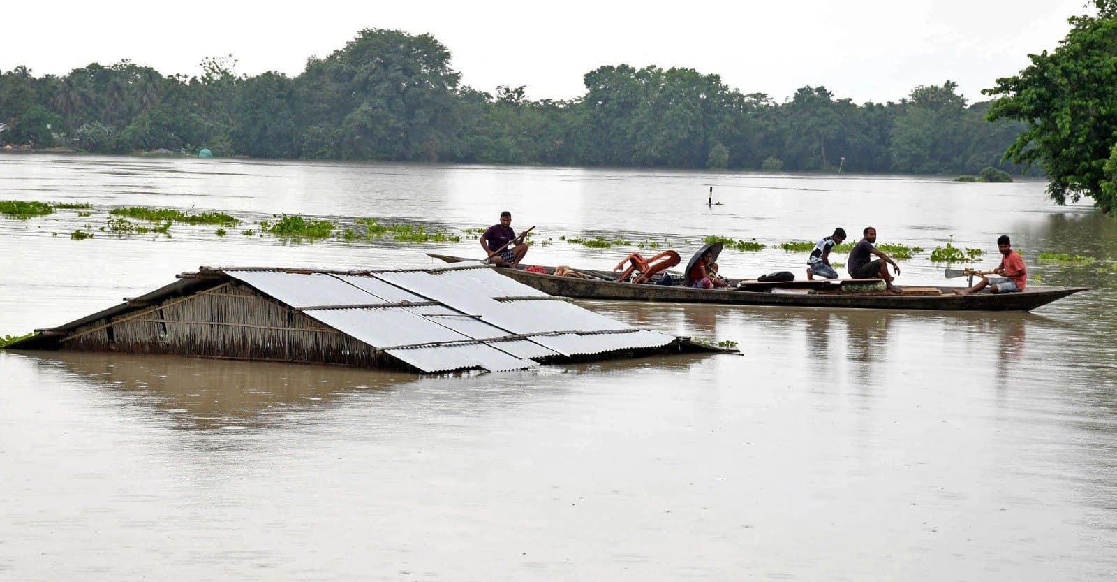 Assam: বন্যা বিধ্বস্ত অসমে মৃত বেড়ে ৯০, গৃহহীন তিন লক্ষ বাসিন্দা 