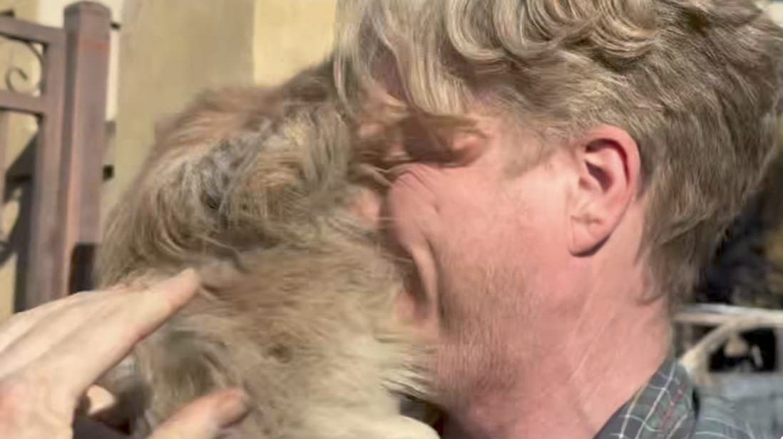 Los Angeles man emotional reunion with dog feared lost amid wildfire gnr