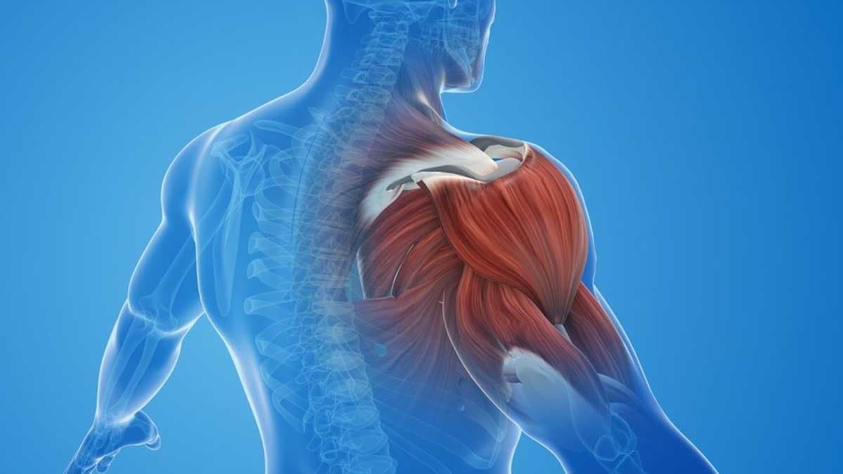 Symptoms and treatment of Frozen shoulder disease