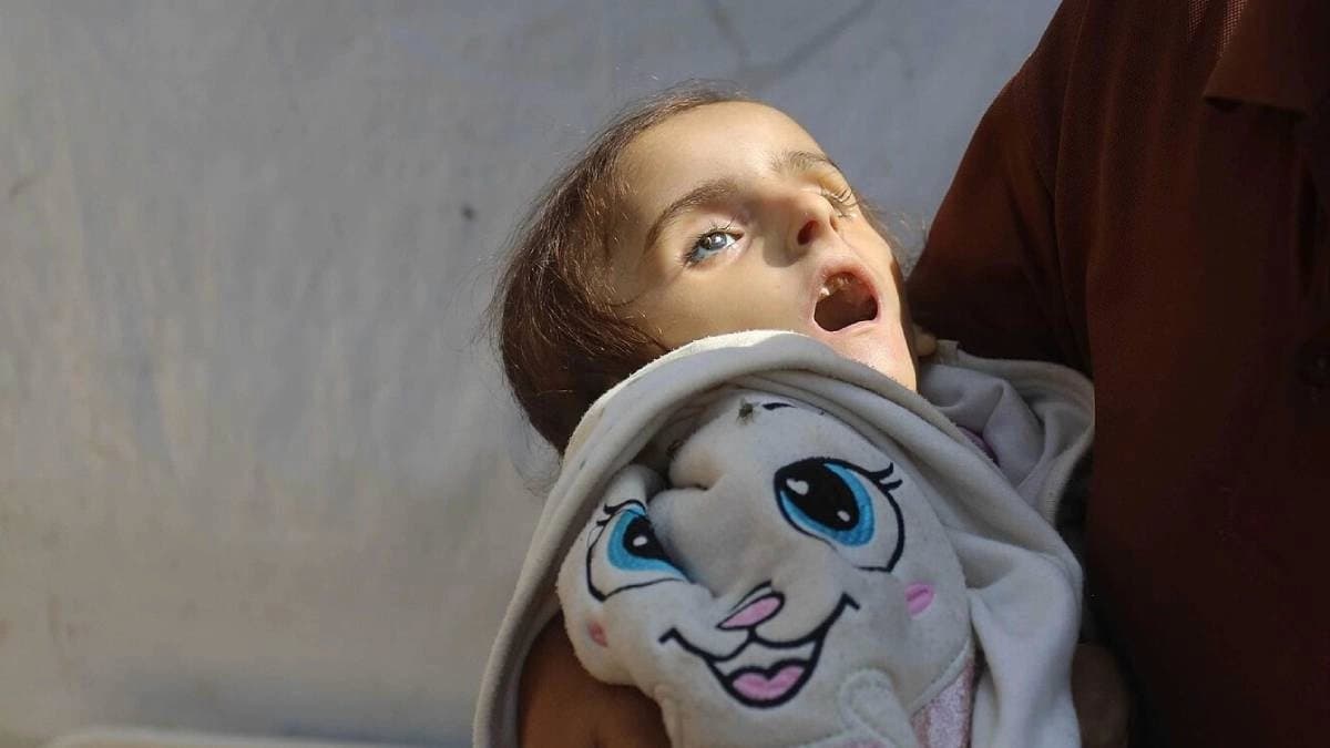 death toll in Palestine exceeds 59106 in palestine