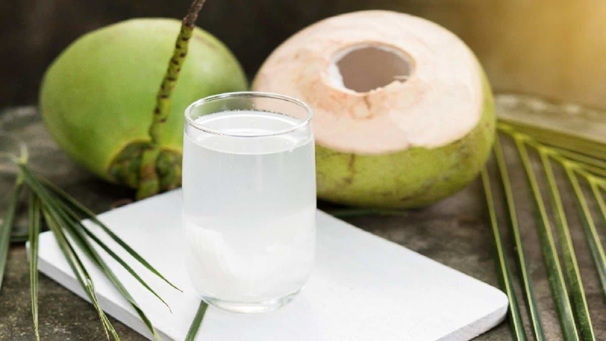 Consuming coconut water can be harmful if you have these problems know details lif