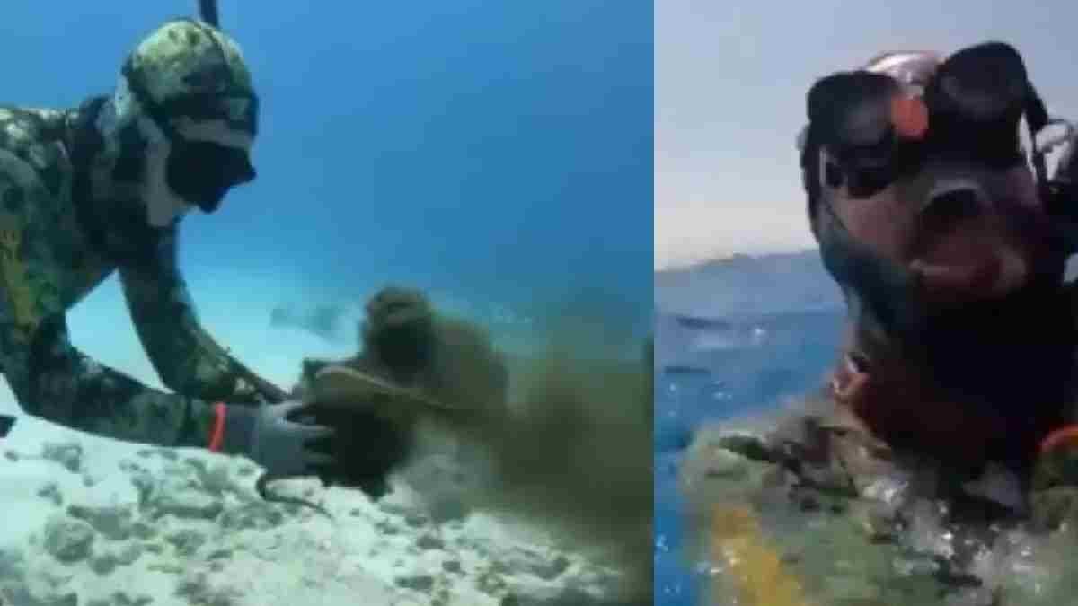 Man vs Octopus viral video on social media