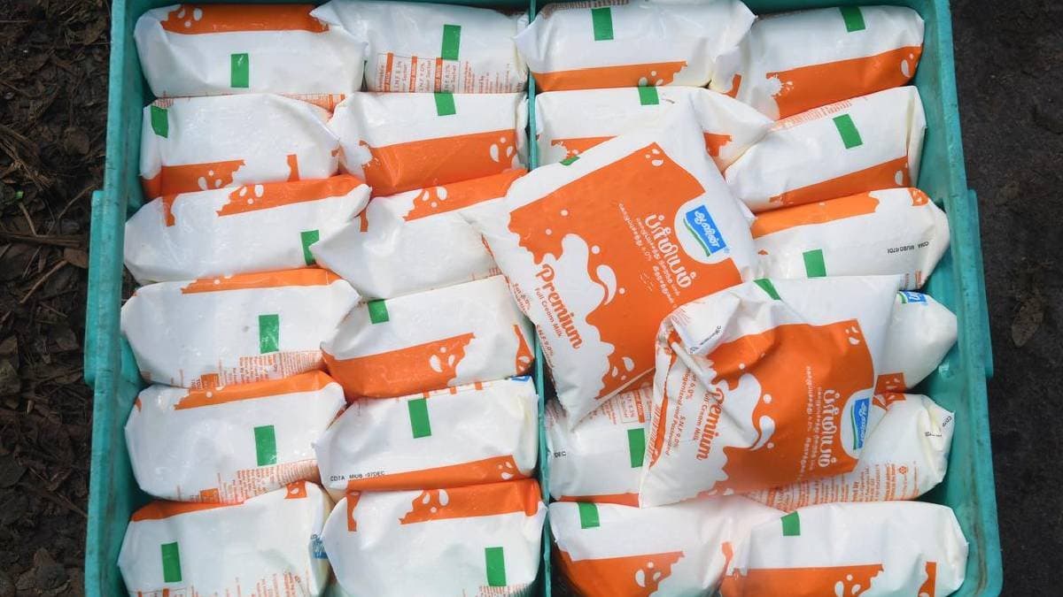 Is introducing an alternative to the plastic milk pouch a tenable solution gnr