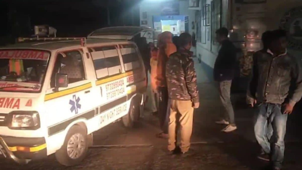 হাতির ধাক্কায় বেসামাল পিকআপ ভ্যান এবং অটো, নিয়ন্ত্রণ হারিয়ে গাছে ধাক্কা, আহত পাঁচ