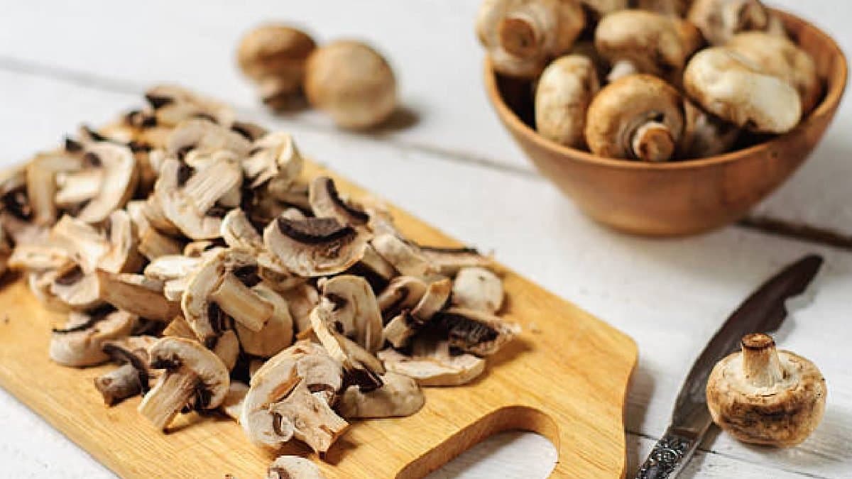 Man asks For Grief Advice Try Mushrooms he gets the reply from ChatGPT gnr 