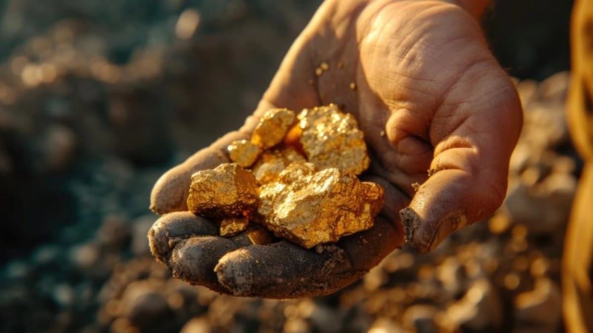 Gold Reserve in India: GSI has found huge reserve in Rajasthan 222 tonnes of gold ore estimated