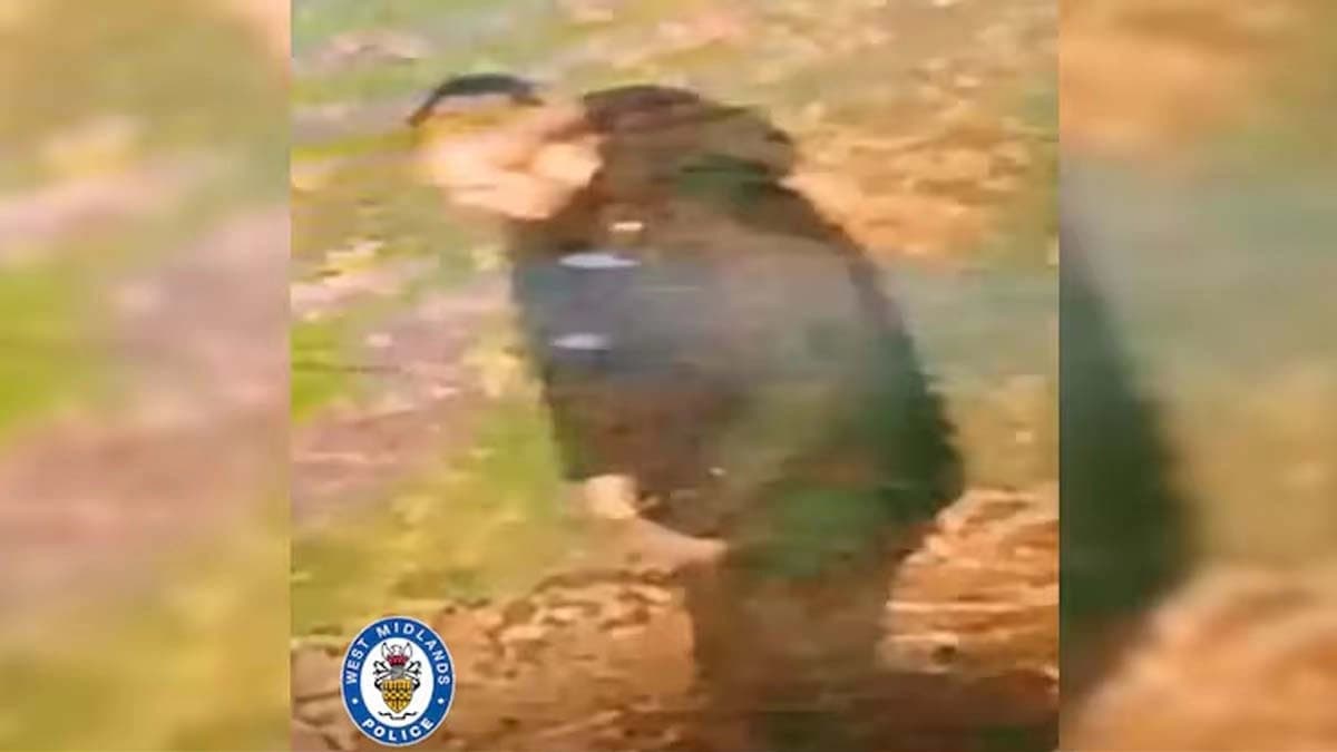 A 20-year-old Indian-origin woman was the victim of a racist attack in Britain