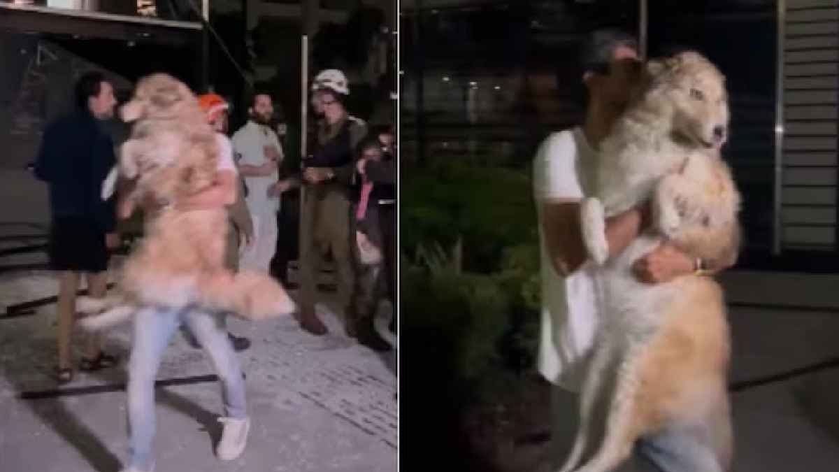 Video of dog rescued from ruined Tel Aviv goes viral