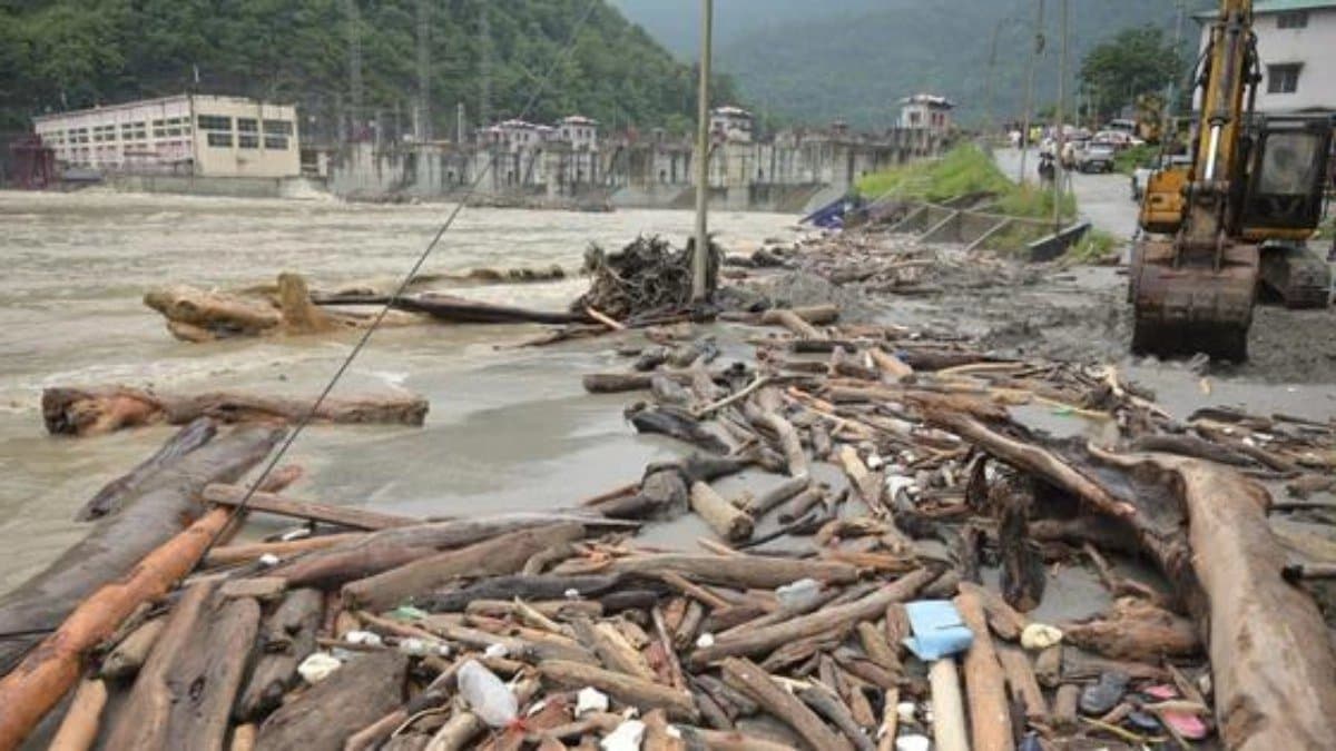 People of Cooch Behar are earing huge money by collecting stems from flood water