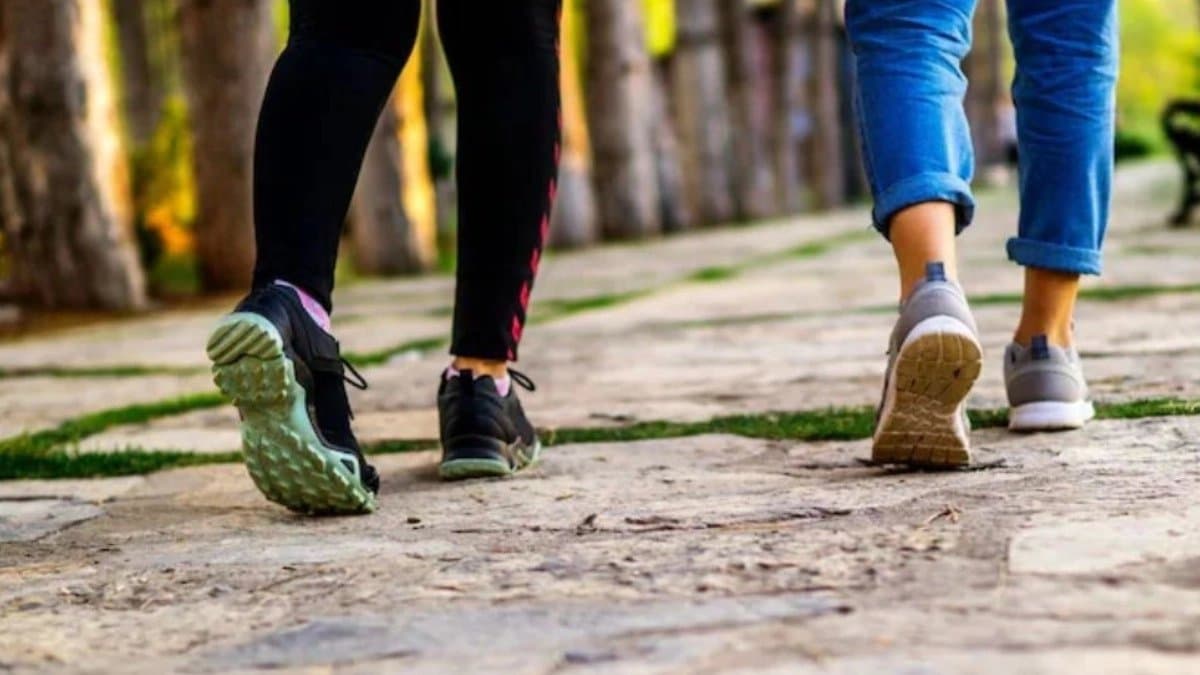 Walking or running which is better cardio for weight loss 