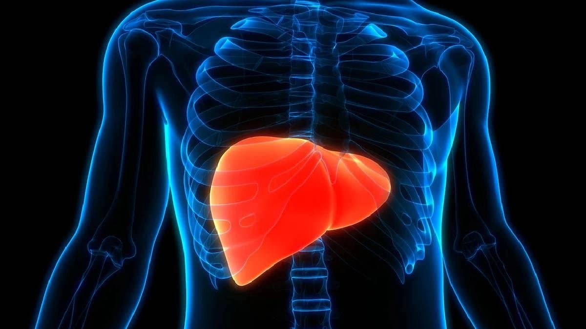 health tips best and worst food for your liver