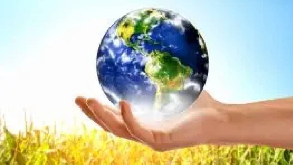 Which animal will replace humans as earths dominant species gnr