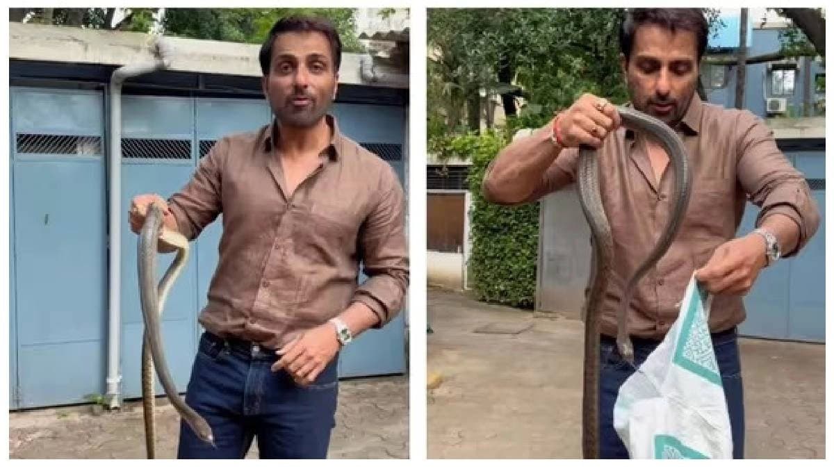 Bollywood actor Sonu Sood calmly rescues snake and urges public to call professionals