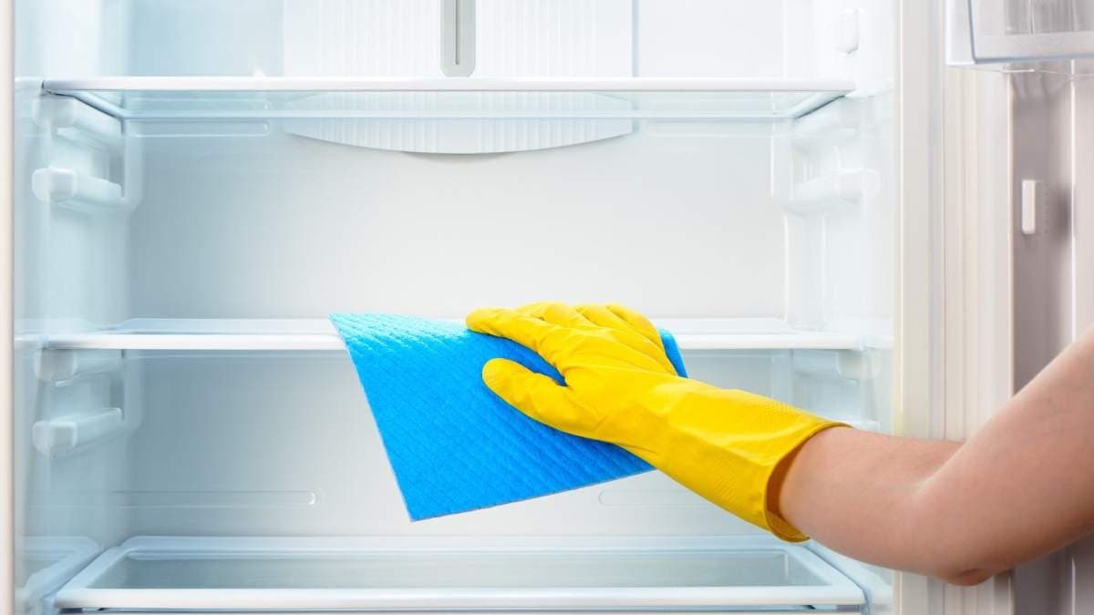 these all tricks can prevent bad odour from your fridge and clean this household item healthy lif