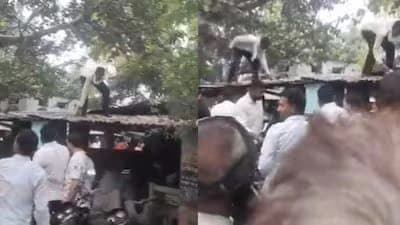 Monkey Snatches Bag With Rs 80 Thousand Rupees Showers Cash From Tree