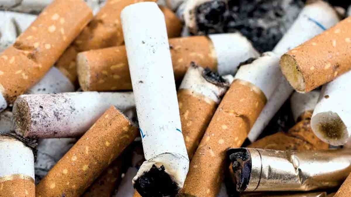  GST on aerated beverages, cigarettes, tobacco and related products may hike  to 35 per cent from the present 28 per cent gnr 